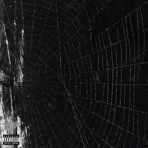 WHOLE LOTTA LAMES [PROD. CHULL]