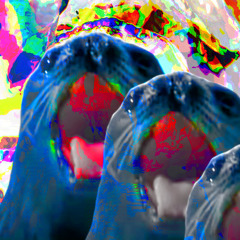 egg.wav (for repinabox)