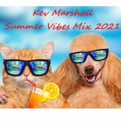 Summer Vibes Mix 2021