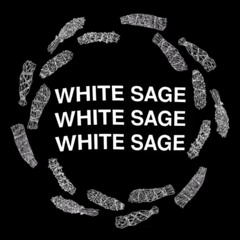Erica B. - White Sage