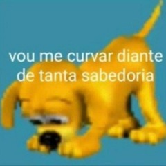 o melhor dos dois mundos