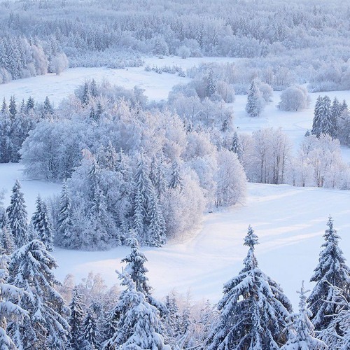 Кабы не было зимы (TRAP remix)