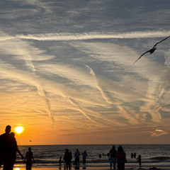 The Last Week of April