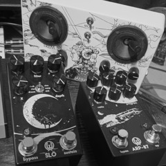 No Input Walrus Audio FX Pedal jam