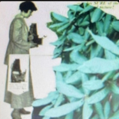 Fleurwatcher {ft.ѪȺЯłⱠұи Ѫⱥ₦₴Øи}