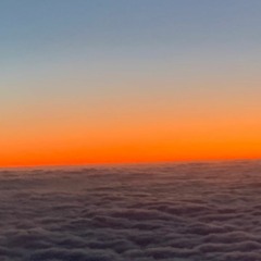 Little red panda (demo rough)