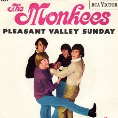 Pleasant Valley Sunday cover  by McGill & McGoohan
