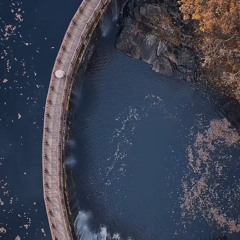 Phi Điểu Và Ve Sầu 飞鸟和蝉 - DJ Noise Remix