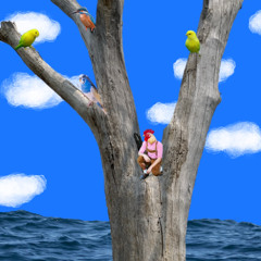 Dann K - "Dilworth" (audio mastering)