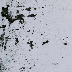 Veiga - Parapraxis (The Preventer Remix) |TRM345|