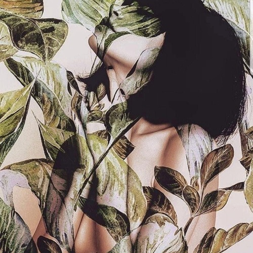 MYSTIC JUNGLE