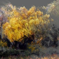 AETERNUM 01