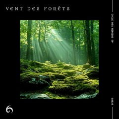 GR029 - Vent Des Forêts - Nuances Infinies