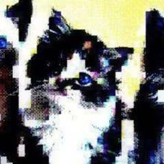 AAAND jackpot wrong guy