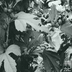 Mildew