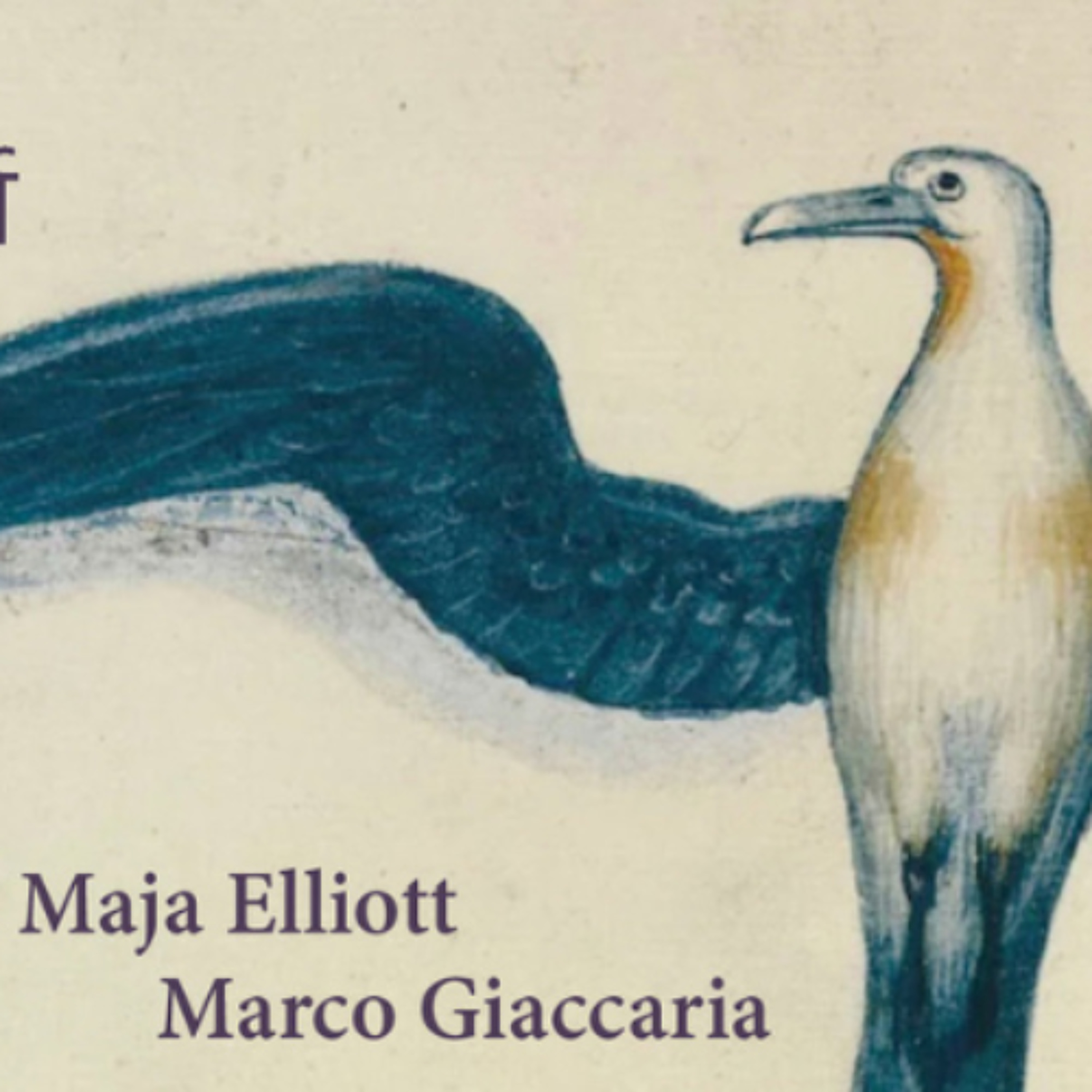 Pianist Maja Elliott And Italian Flautist Marco Giaccaria To Perform In Tuamgraney This Sunday