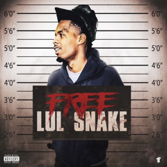 LulSnake - Step Up Yo Rank