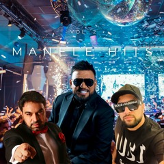 Esti Un Macho (feat. Nicolae Guta & Roxana Printesa Ardealului)