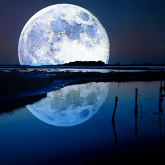 The Perfections of a Mad Chill Genius (instrumental) [Remastered 2024]