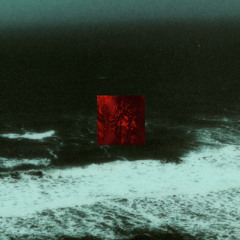 l'uomo che veniva dal mare