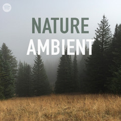Nature Ambient ||
