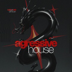 AGRESSIVE HOUSE - DJ FRACARI & TAI DIGITAL