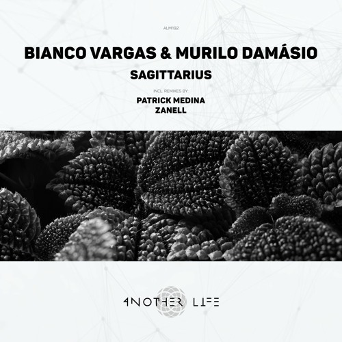 Bianco Vargas & Murilo Damásio - Sagittarius (Patrick Medina Remix) [Another Life Music]