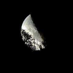 veto - SOHN live loop cover