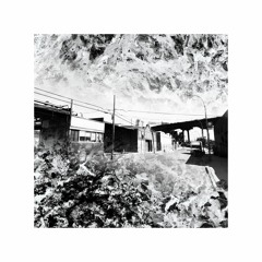 Collage, August 2023, Brooklyn