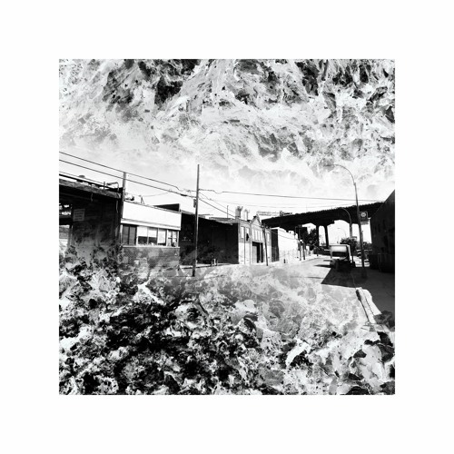 Collage, August 2023, Brooklyn