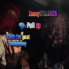 PULL UP Feat. Slick The Goat Hedgehog