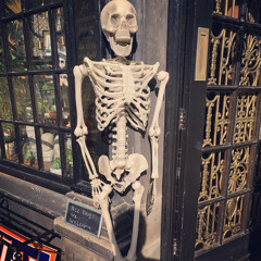 Answer For Everything (Rough Demo)