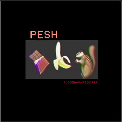 PESH - FUDGEbananaSQUIRREL