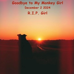 Goodbye to My Monkey Girl