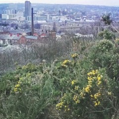 Park Hill - Skye Edge