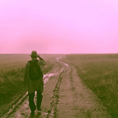 The Long Walk (HSD)