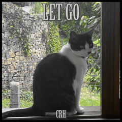 Let Go