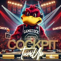 Gamecock Anthems: Cockpit Turnt Up - Game 4