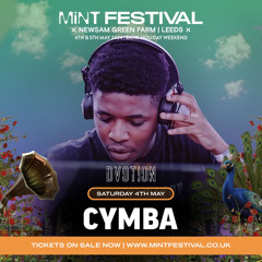 Mint Fest 2024
