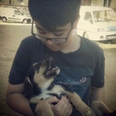 Qimptoven - Üzdüm güzel kızları