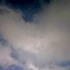 새벽, 그 안갯길 (Dawn, The foggy road)