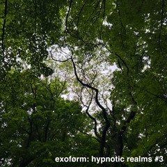 exoførm: hypnotic realms #3 (psychedelic deep techno edition)