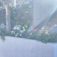 2024/11/28 やるせねーね泣