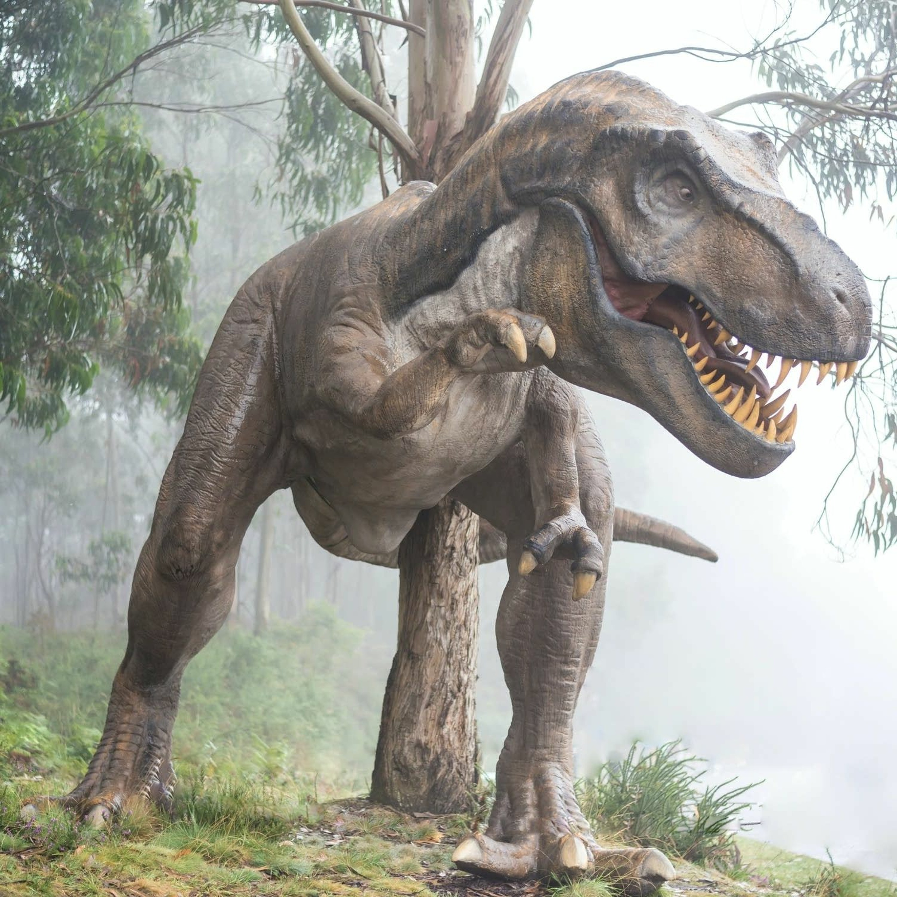 Dinosaurs - Dr. Grady McMurtry - Wednesday, March 3 episode artwork