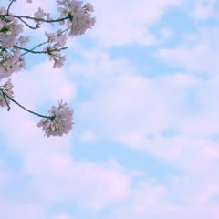 N33T - Cotton Clouds