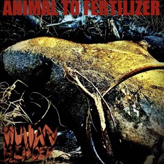 Animal To Fertilizer