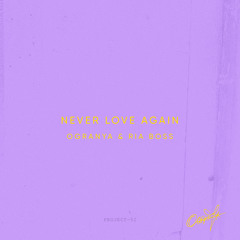 Never Love Again