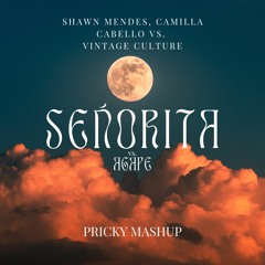 Vintage Culture, Shawn Mendes, Camilla Cabello - Señorita vs. Agape (Pricky Mashup)