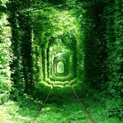 The Tunnel Of Love // Melodic & Progressive House