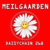 Daisychain 268 - Meilgaarden DJ mix artwork - Electronic music tracklist cover image